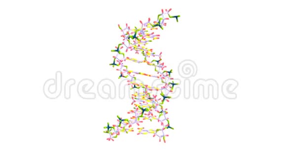 在白色上旋转的DNA分子视频的预览图