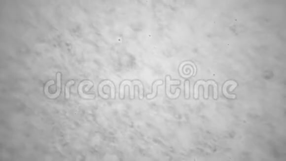 黑色背景上的白色油漆视频的预览图