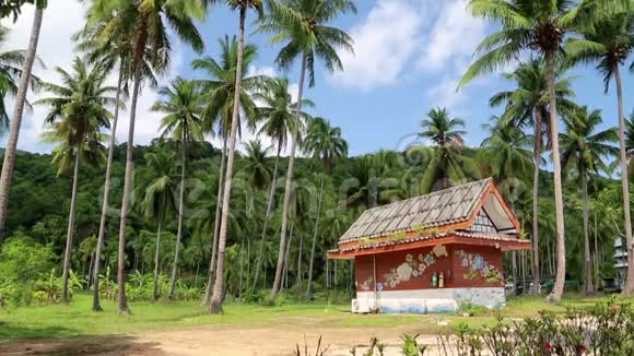 泰国KohChang岛棕榈树之间的小房子视频的预览图