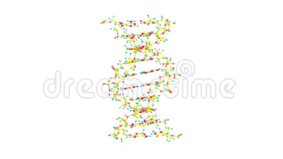 在白色上旋转DNA分子视频的预览图