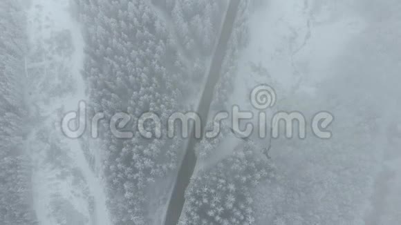 冬季景观道路及积雪覆盖树木视频的预览图
