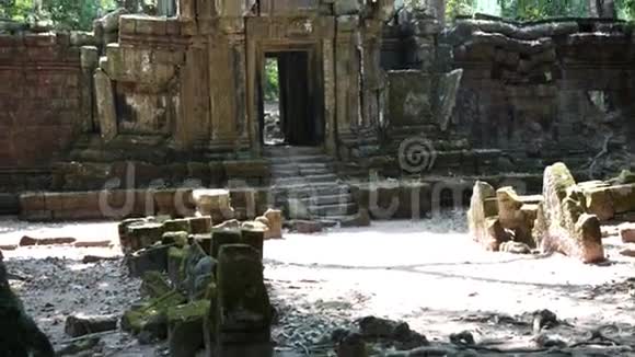 柬埔寨暹粒寺庙的树木和废墟视频的预览图