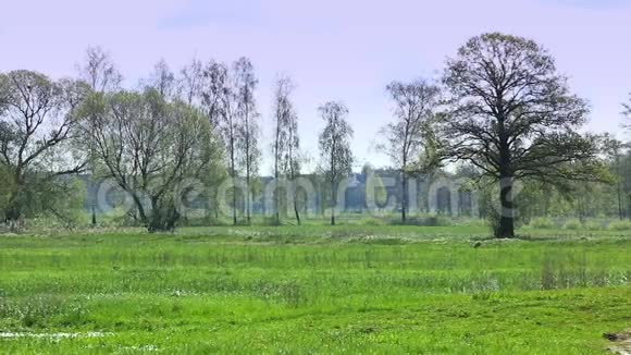 乡村欧洲景观视频的预览图