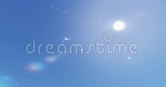 蒲公英种子被吹动漂浮在半空中蓝天背景视频的预览图