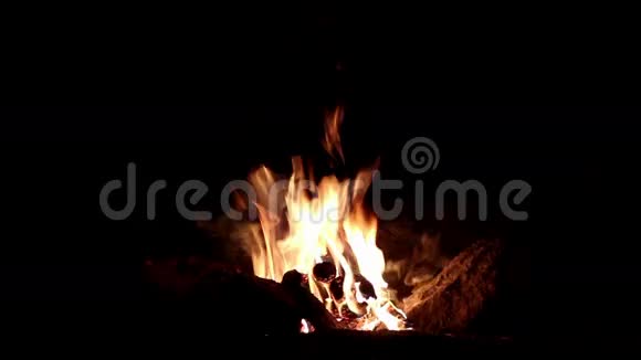 篝火晚会黑暗背景上的巨大火焰冷杉的声音火的声音巨杉视频的预览图