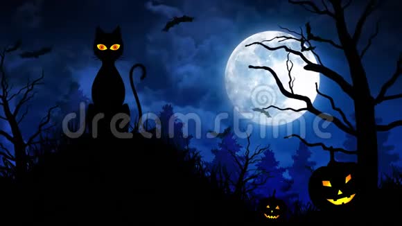 蓝色背景中的猫和月亮视频的预览图