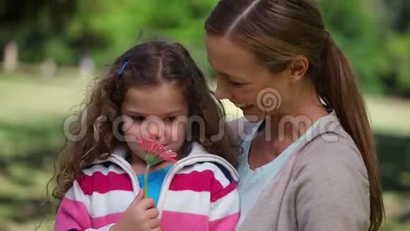 母亲和女儿闻着一朵花视频的预览图