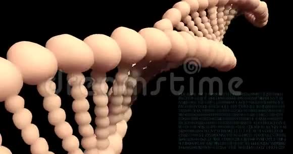 分析DNA结构法医研究基因和遗传病科学DNA分子视频的预览图