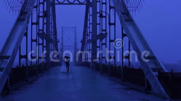 夜桥视频的预览图