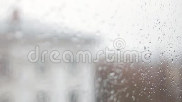 窗户上有雨视频的预览图