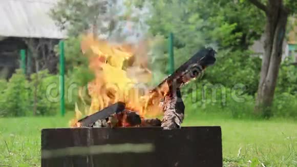 木柴在火中燃烧木柴在室外烤架中燃烧视频的预览图