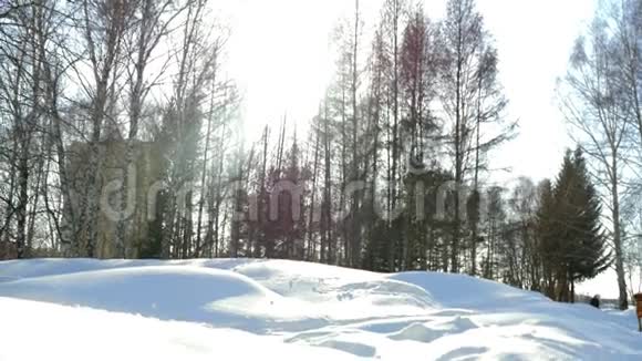 美丽的冬季公园阳光明媚视频的预览图