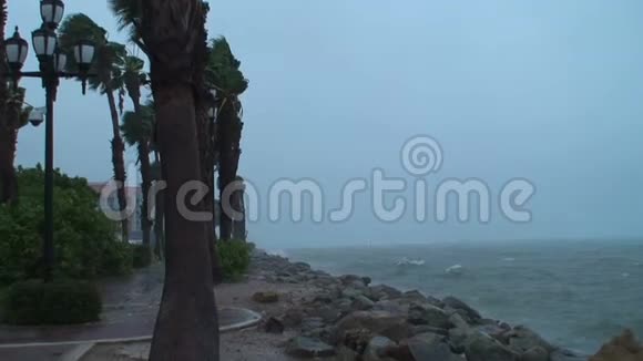 加勒比海阿鲁巴岛热带风暴视频的预览图