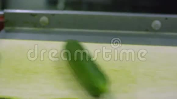 工厂黄瓜包装机视频的预览图