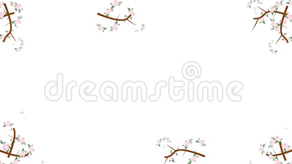 花枝和杏仁花生长在阿尔法通道的框架视频的预览图