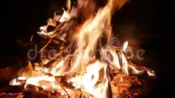 在森林的营火上燃烧着火焰视频的预览图