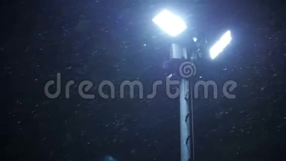 夜冬路灯伴落雪视频的预览图