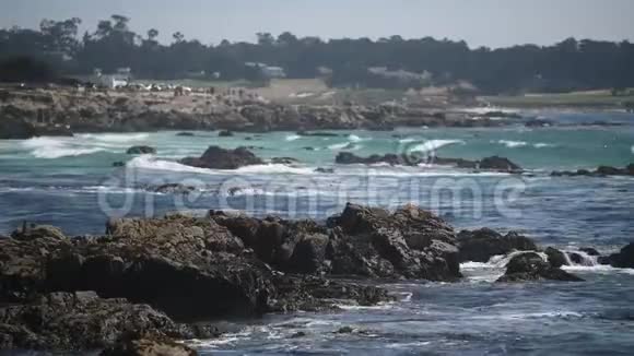 美丽的海景岩石海岸许多海鸥视频的预览图