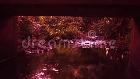 日落大桥下的河流视频的预览图