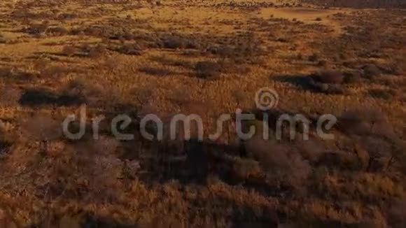 空中日落时纳米比亚的大草原视频的预览图