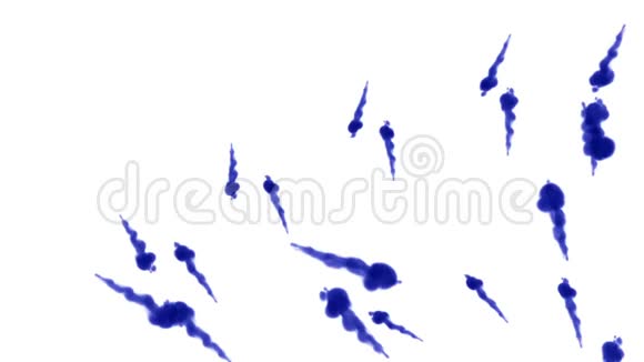 大量的孤立的蓝色墨水注入蓝色混合在水中慢镜头使用inky背景或视频的预览图