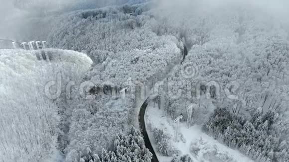 冬季景观道路及积雪覆盖树木视频的预览图