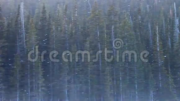 落基山国家公园暴雪视频的预览图