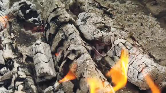 近距离观看烧烤炉中燃烧的木炭和火焰视频的预览图
