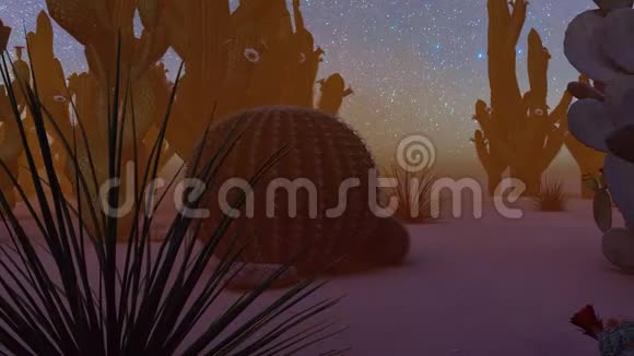 美国沙漠日落动画视频的预览图