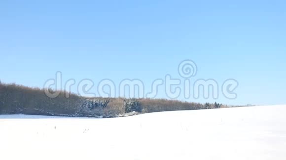 冬季游客带着雪鞋在雪地漂流中行走穿着粉色运动夹克的徒步旅行者和穿着雪鞋的黑色徒步旅行者视频的预览图