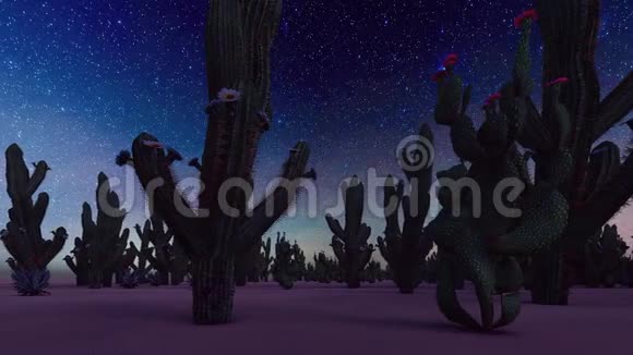 美国沙漠日落动画视频的预览图