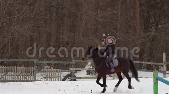 慢动作一个女骑师完成骑马它表演各种运动动作和跳跃培训视频的预览图