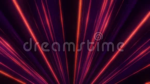 聚光灯线条的抽象霓虹灯发光动画激光迪斯科灯在黑色背景上显示霓虹灯线发光视频的预览图