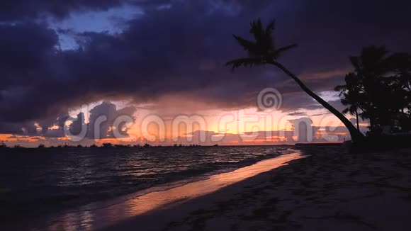 日出时的热带海滩视频的预览图