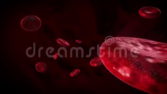 血细胞3D动画视频的预览图