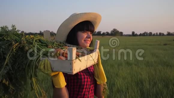女孩红脖子农夫农业收获生态农业一概念慢动作视频快乐的女孩在收割散步视频的预览图