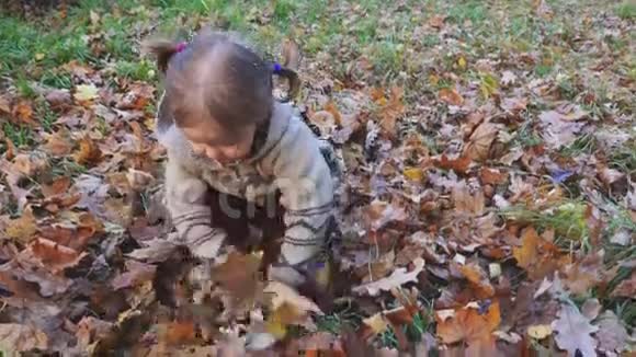 宝宝在户外玩树叶秋林公园视频的预览图