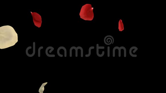 飞翔的浪漫红白玫瑰花瓣落阿尔法海峡过渡视频的预览图