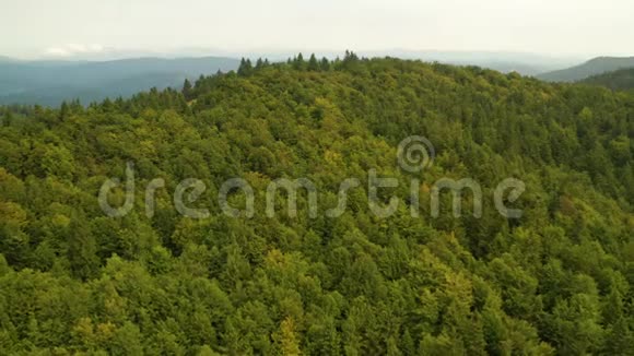 在VelkeKarloviceBeskydy捷克的山上的空中视野这个剪辑可在两个不同的等级10位颜色或dji视频的预览图