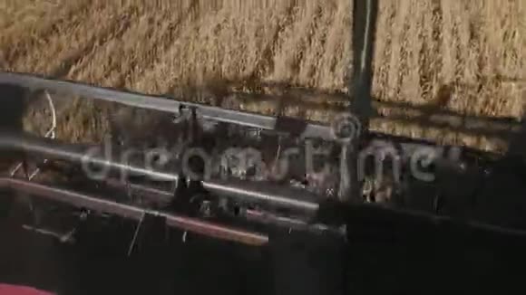 黄秋农业收割机和小麦麦田视频的预览图
