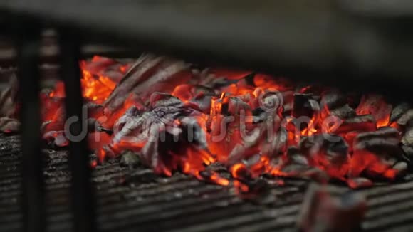 典型的阿根廷烧烤或阿萨多烧烤架里的木头和红火炭视频的预览图