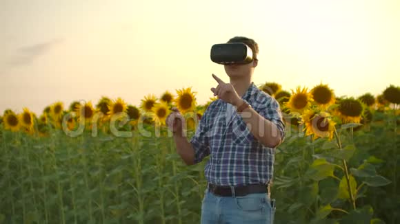 大自然中向日葵领域的现代技术视频的预览图