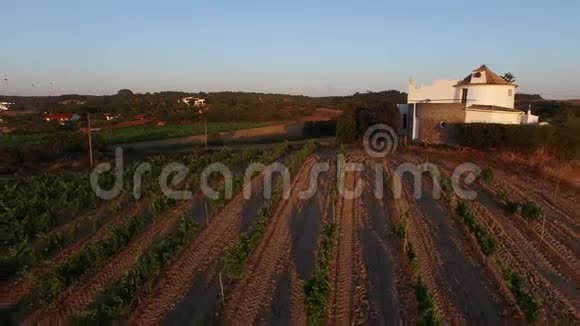 从葡萄牙的酒田起飞视频的预览图