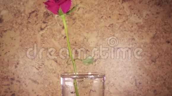 红玫瑰慢慢地落在花瓶里缓慢地跳动着视频的预览图