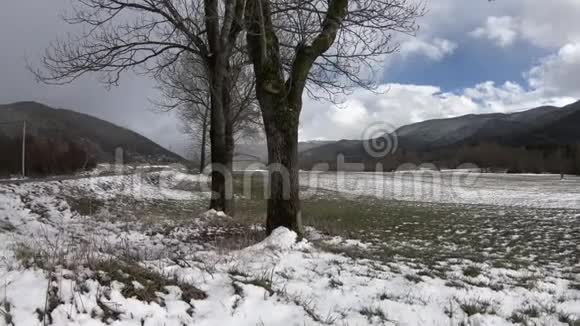 法国比利牛斯山脉冬季草地和树木视频的预览图