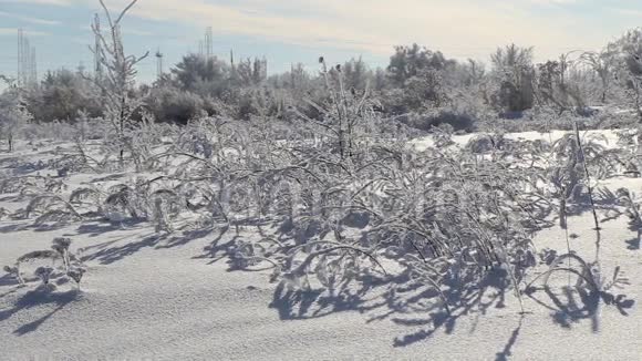 美丽的白雪覆盖的土地视频的预览图