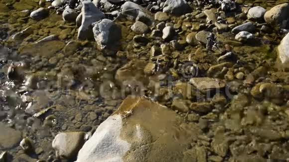 小溪有清澈的流水视频的预览图