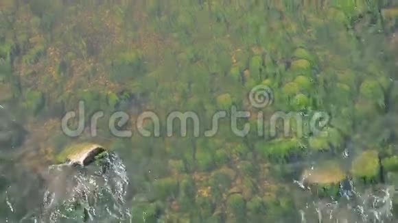 河流水流背景带藻类视频的预览图