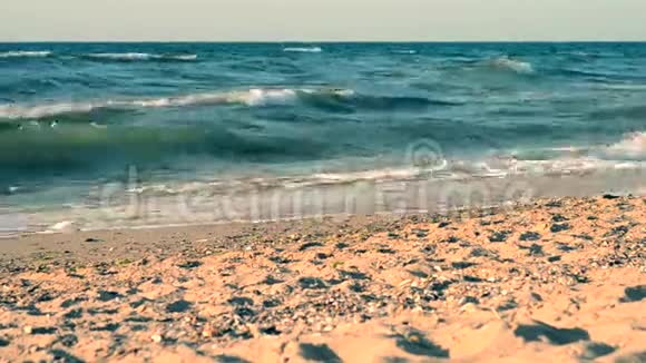 海水和沙滩过滤器视频的预览图