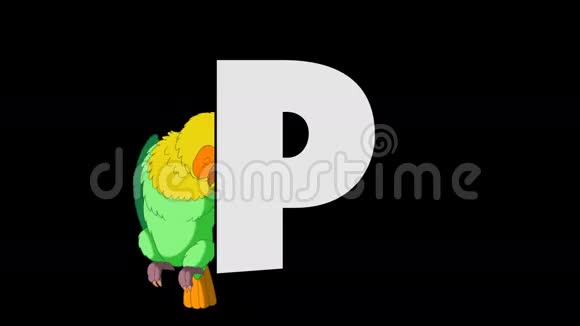 字母P和鹦鹉背景视频的预览图